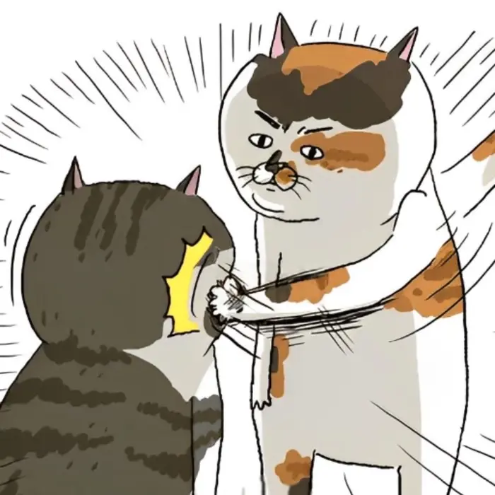 Tuyển chọn ảnh meme đánh nhau cực hài không thể bỏ lỡ Tuyển chọn ảnh meme đánh nhau cực hài không thể bỏ lỡ