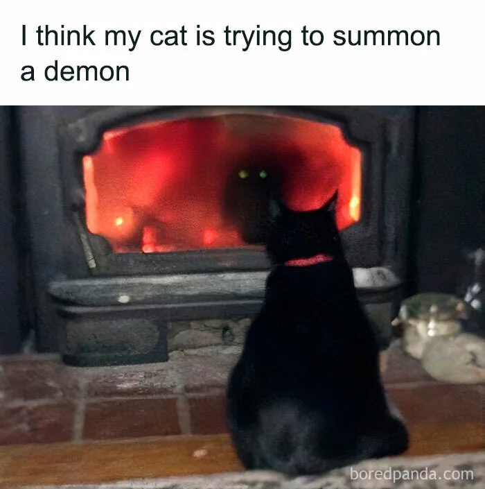 50 Creepy But Funny Memes For People Who Love Their Humor Like Their  Coffee: Black | Bored Panda