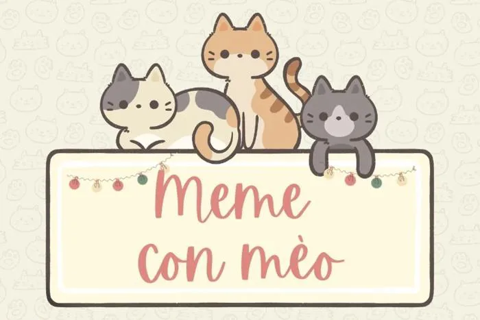 Tổng hợp 1001+ Meme Mèo dễ thương nhất, các Sen lưu ngay cho trẫm