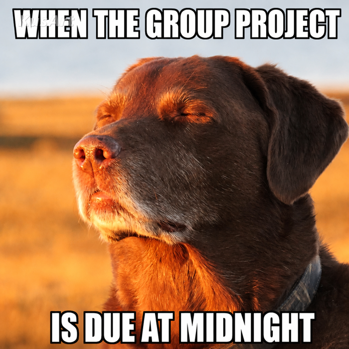 Dog Accepting Fate Meme Template | KusArt Dog Accepting Fate Meme Template | KusArt