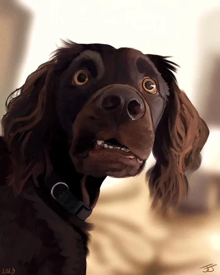 Famous Confused Dog Meme by muhreee on DeviantArt Famous Confused Dog Meme by muhreee on DeviantArt