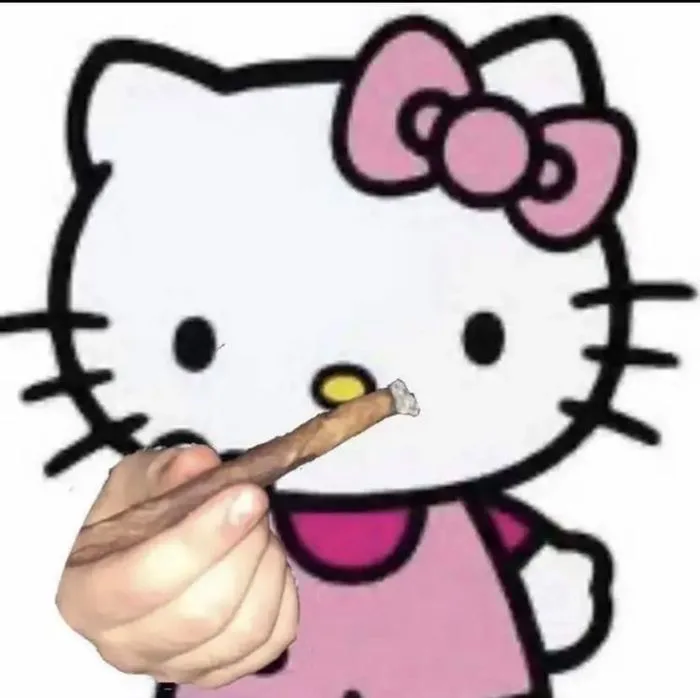 Tổng hợp ảnh meme đội quần hellokitty