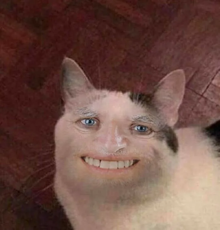 meme-dong-vat-1