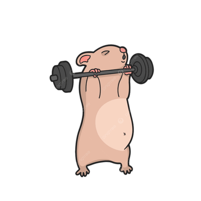 Hình ảnh động Vật Memes Phòng Tập Thể Dục Nhãn Dán Vector Minh Họa Dễ Thương PNG , Clipart động Vật, Clipart Phòng Tập Thể Dục, Meme PNG và Vector với nền Hình ảnh động Vật Memes Phòng Tập Thể Dục Nhãn Dán Vector Minh Họa Dễ Thương PNG , Clipart động Vật, Clipart Phòng Tập Thể Dục, Meme PNG và Vector với nền