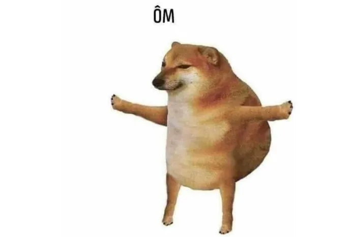Top meme ảnh chó hài hước trên mạng xã hội, nguồn gốc và ý nghĩa! Top meme ảnh chó hài hước trên mạng xã hội, nguồn gốc và ý nghĩa!