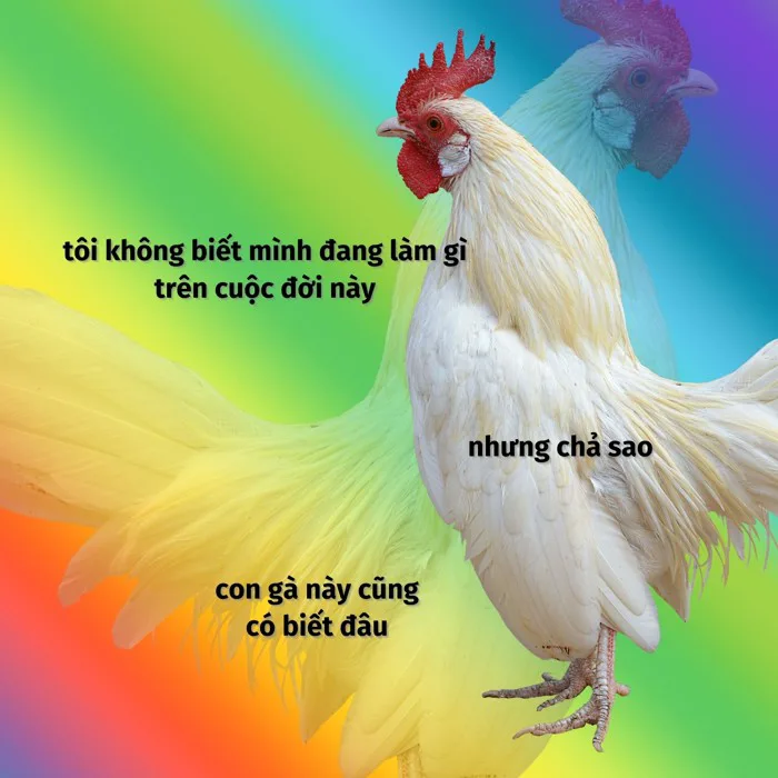 Mẫu meme tạo động lực miễn phí - Thiết kế ấn tượng, dễ dàng chỉnh sửa Mẫu meme tạo động lực miễn phí - Thiết kế ấn tượng, dễ dàng chỉnh sửa