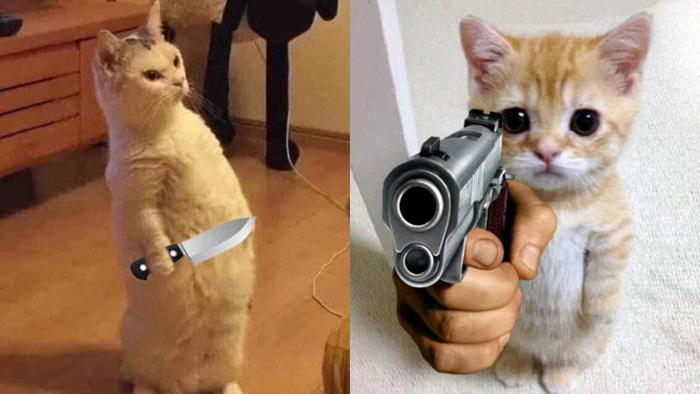 Meme là gì? Tổng hợp 10+ meme phổ biến nhất Meme là gì? Tổng hợp 10+ meme phổ biến nhất