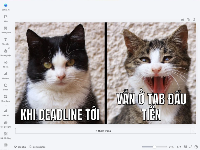 Chế ảnh meme hài online từ ảnh riêng và mẫu có sẵn | Canva Chế ảnh meme hài online từ ảnh riêng và mẫu có sẵn | Canva