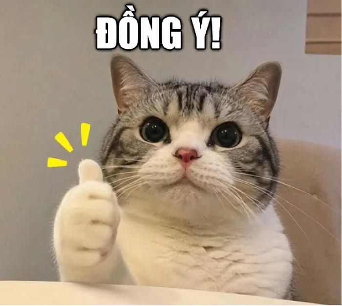 148+ Meme Đồng Ý Em Đồng Ý Gật Đầu ảnh chế siêu hài 148+ Meme Đồng Ý Em Đồng Ý Gật Đầu ảnh chế siêu hài