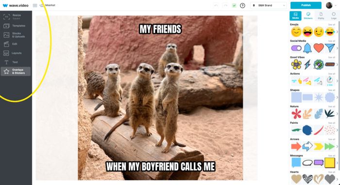 Meme Fonts: Which Are Used in Different Popular Memes? - Wave.video Blog:  Latest Video Marketing Tips & News | Wave.video