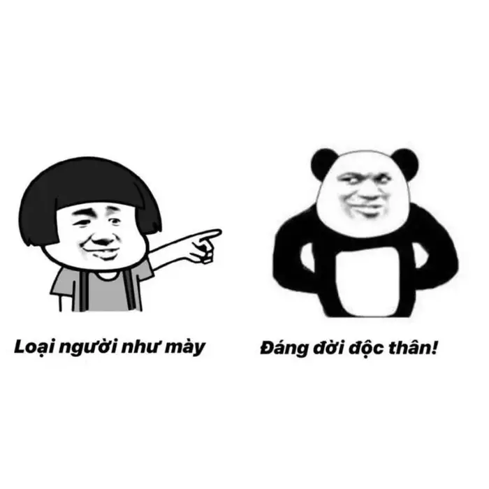 Tổng hợp ảnh meme gấu bá đạo khiến bạn bật cười không ngớt