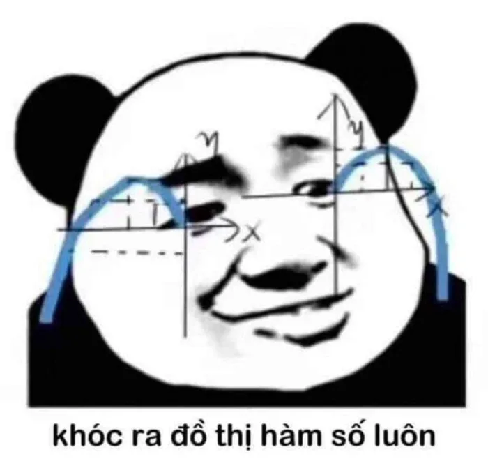 Tuyển tập 99+ hình gấu trúc meme cực hài, bá đạo và hóm hỉnh | Yody
