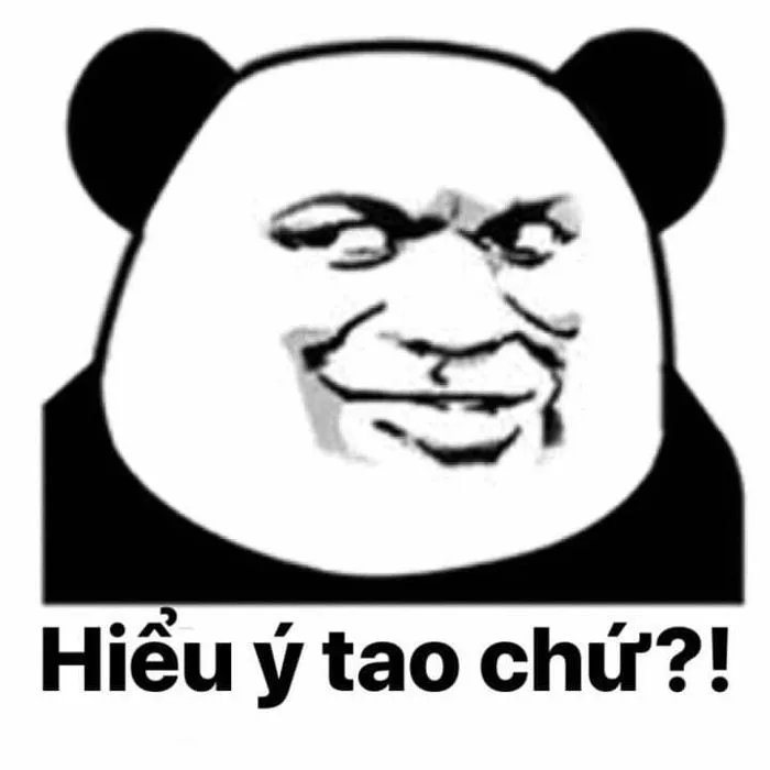 Khám phá 300 ý tưởng gấu trúc mặt bựa và gấu trúc | hình biểu cảm, ảnh hài  hước nhất, hoạt hình vui nhộn và các ý tưởng khác