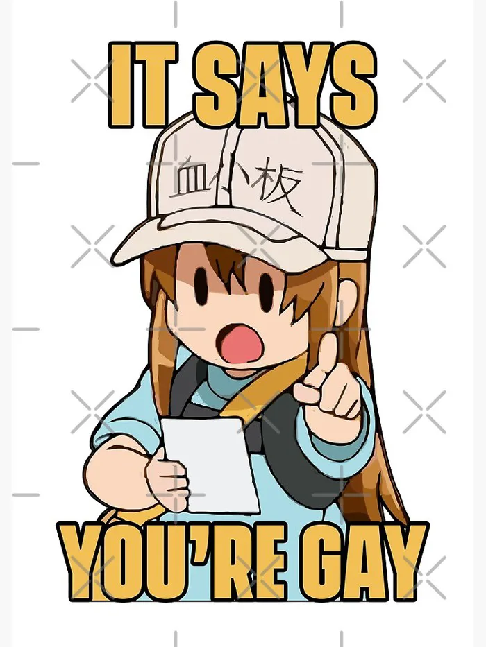 You are gay meme anime chibi