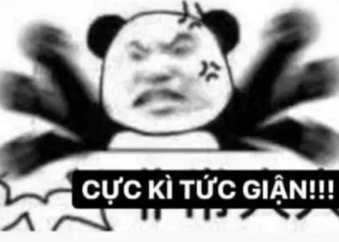 Bộ sưu tập meme tức giận đáng xem nhất hiện nay với vô vàn biểu cảm hài  hước, thú vị
