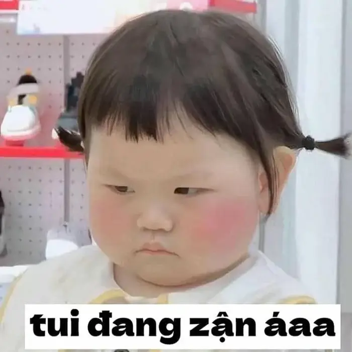 Bộ sưu tập ảnh meme giận siêu hài hước và dễ thương