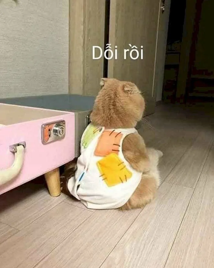 Meme Tức Giận Cute [95+ Ảnh Chế Meme Cáu Giận, Nóng Giận]