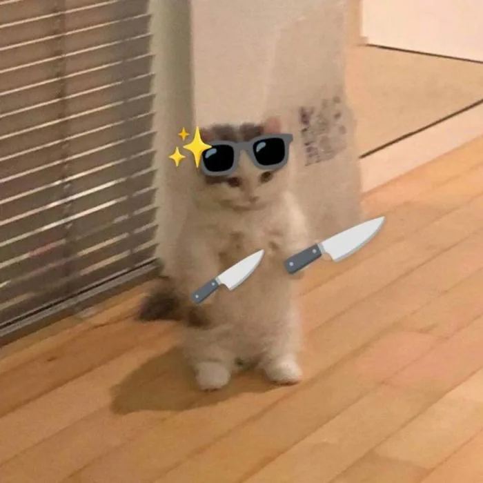 Tổng hợp bộ ảnh meme tức giận cute hài hước nhất mạng xã hội