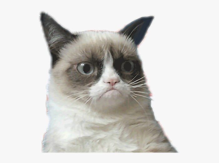 A Wallpaper For Pc Meme GIF (750×500) - Cute Wallpaper | GIFDB.com