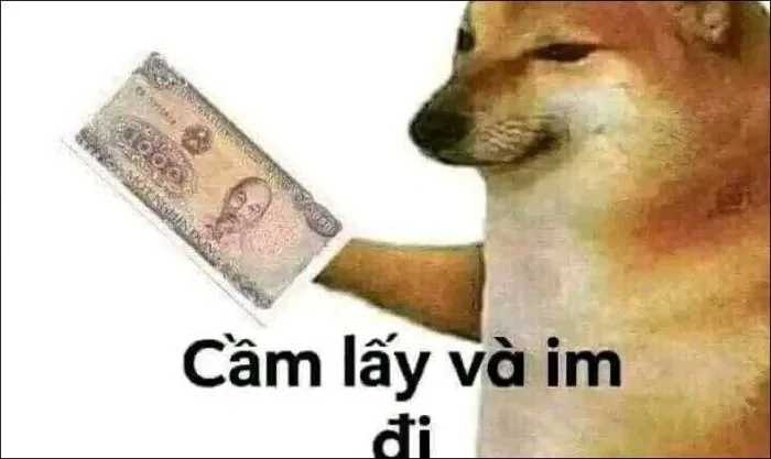 10.000+ ảnh Meme hài bựa, vô tri, cute miễn phí 2026