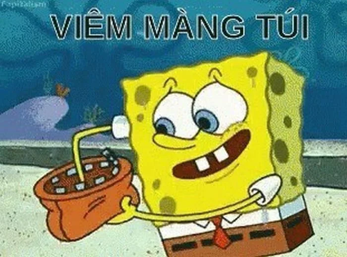 Meme Hết Tiền Rồi, Meme Ví Hết Tiền Troll [97+ Hình Ảnh Nghèo Tiền]