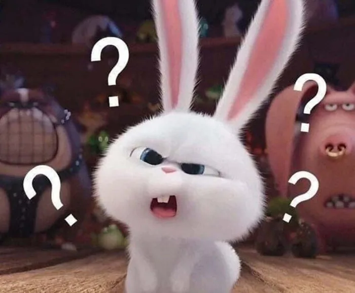Giới thiệu các mẫu meme hỏi chấm hài hước, thú vị, khiến người xem cười té  ghế