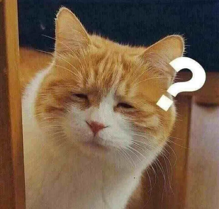Giới thiệu các mẫu meme hỏi chấm hài hước, thú vị, khiến người xem cười té  ghế