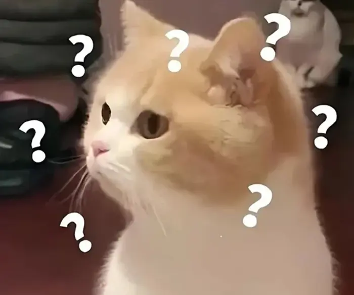 BST 100+ Ảnh Meme Hỏi Chấm Khi Bạn Không Hiểu Chuyện Gì