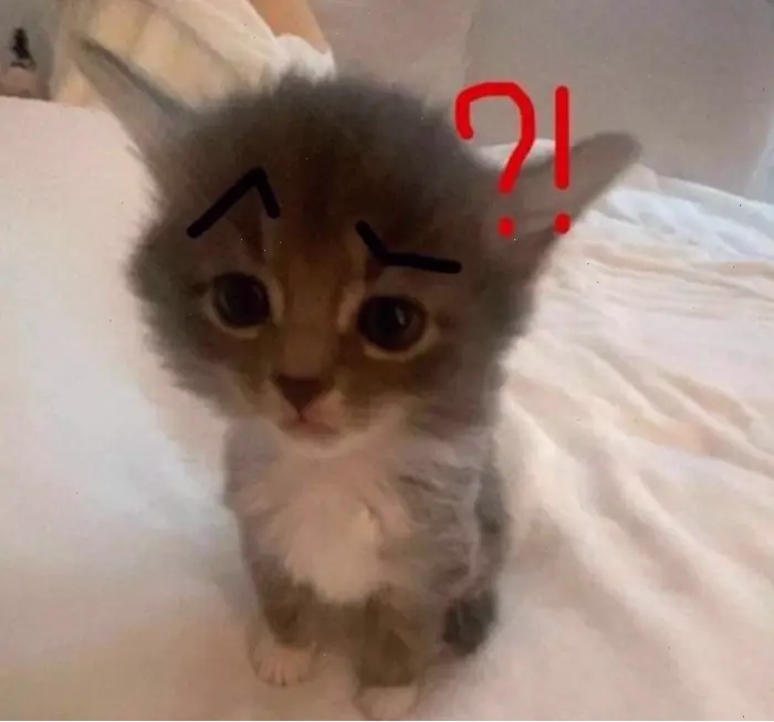 Khám phá kho meme hỏi chấm hài hước và thú vị nhất 2026