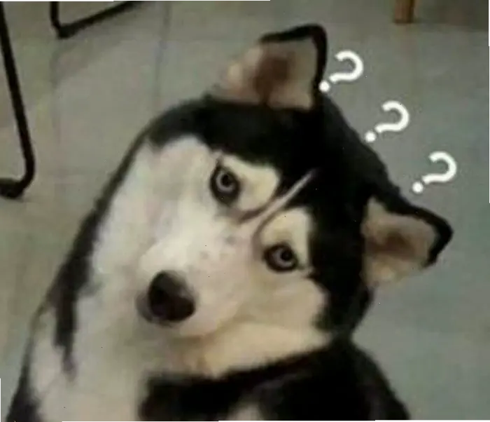 Khám phá kho meme hỏi chấm hài hước và thú vị nhất 2026