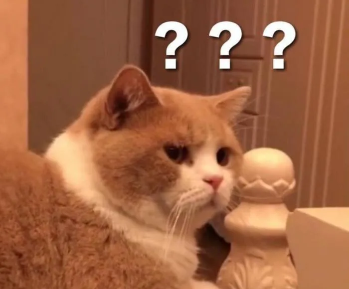 Giới thiệu các mẫu meme hỏi chấm hài hước, thú vị, khiến người xem cười té  ghế