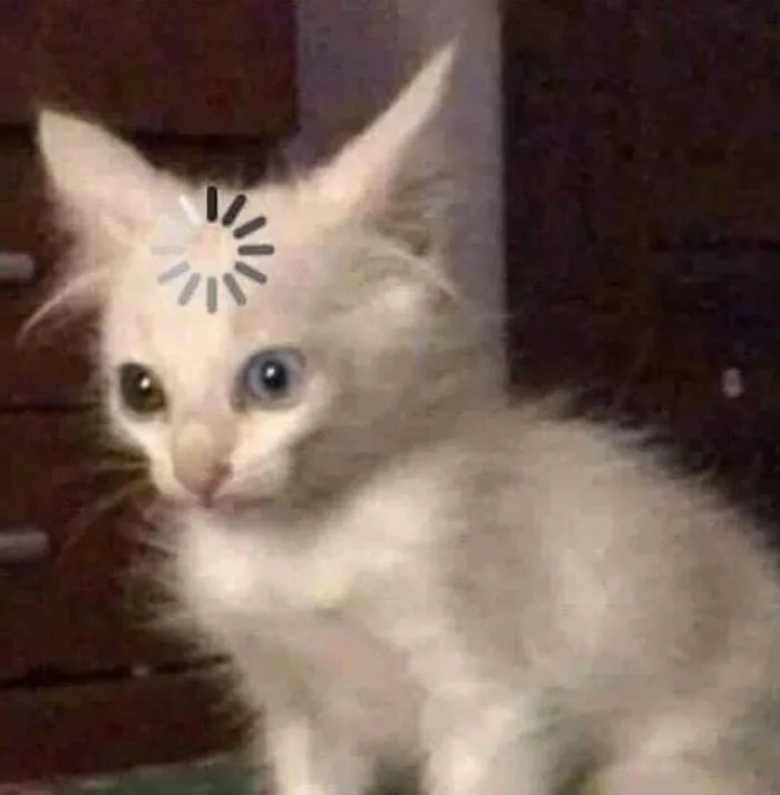 Khám phá 290 ý tưởng Meme và ảnh vui trong 2026 | ảnh vui nhộn, chuyện  cười, hài hước và các ý tưởng khác
