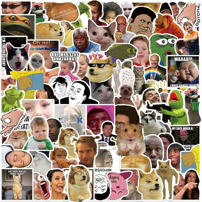 100 Pcs Funny Meme Stickers Pack - Vinyl Waterproof Stickers for Laptop,  Car, Skateboard, Hydroflask | Pop Culture, Internet Icons | Adult & Kid DIY  Decor : Amazon.ca: Electronics
