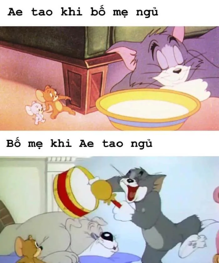 Tom & Jerry Meme Siêu Cute [Bộ Ảnh Chế Hài Hước Nhất]
