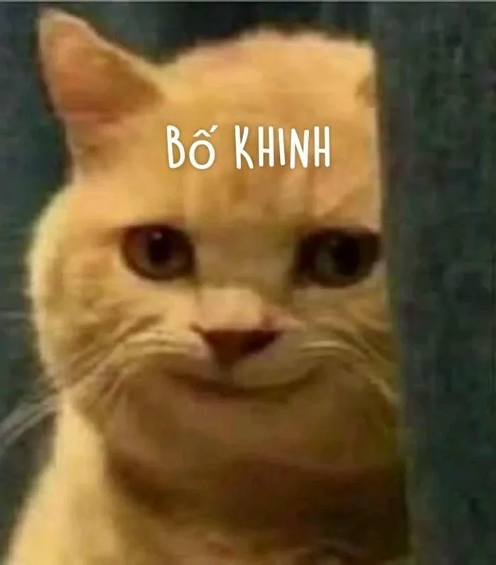 Tổng Hợp 110+ Meme Khinh Bỉ Bá Đạo Khiến Dân Mạng Phát Sốt