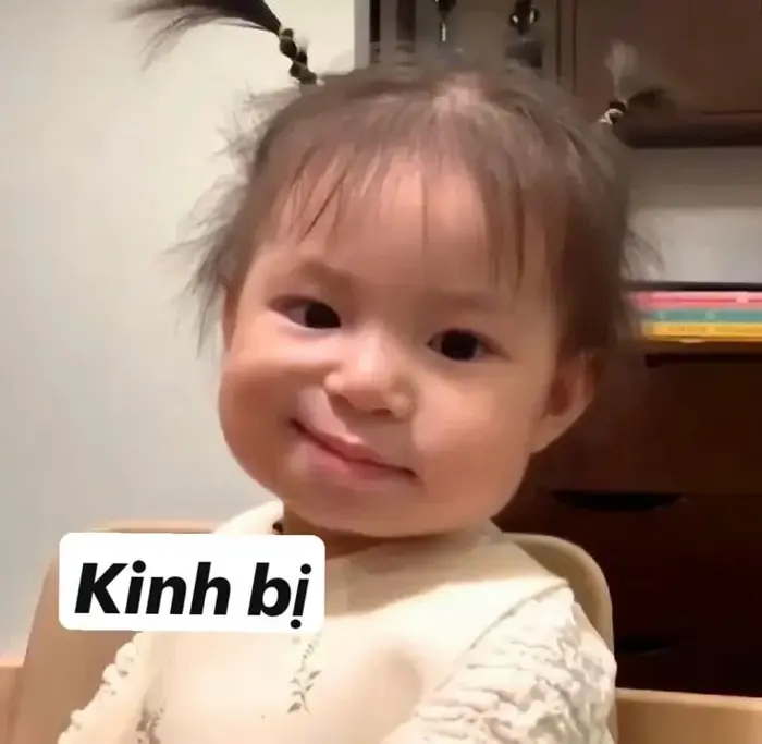 Story » Top 100+ Meme Khinh Bỉ hài với biểu cảm xem thường không thể lầy  lội hơn