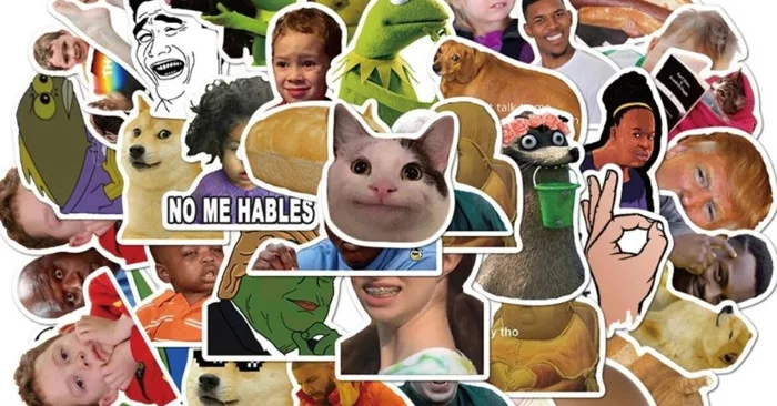 Bộ sưu tập ảnh meme khinh bỉ hài hước và độc đáo nhất
