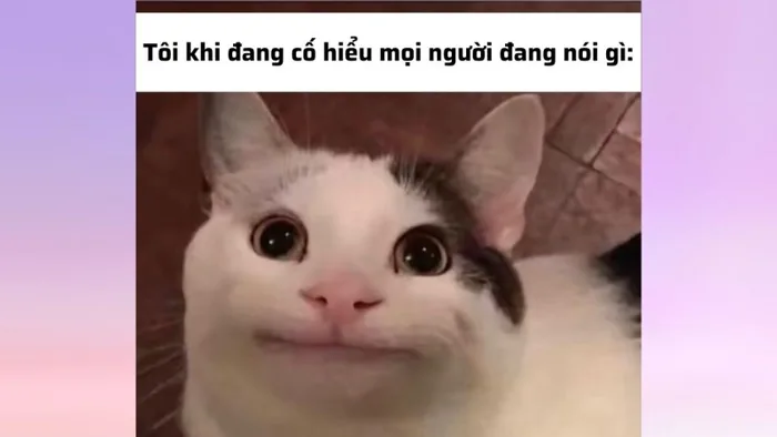 Khám phá những meme khó hiểu cực hài hước, thú vị, bá đạo nhất