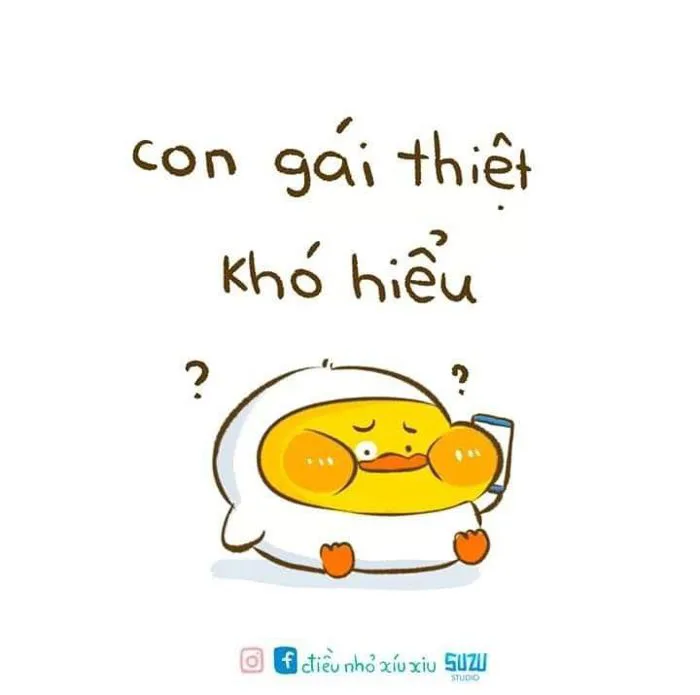 Ảnh vui động vật | Hài hước, Meme, Hình vui