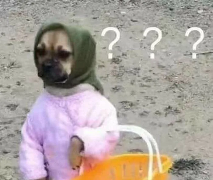 Bộ sưu tập ảnh meme siêu hài, khó đoán