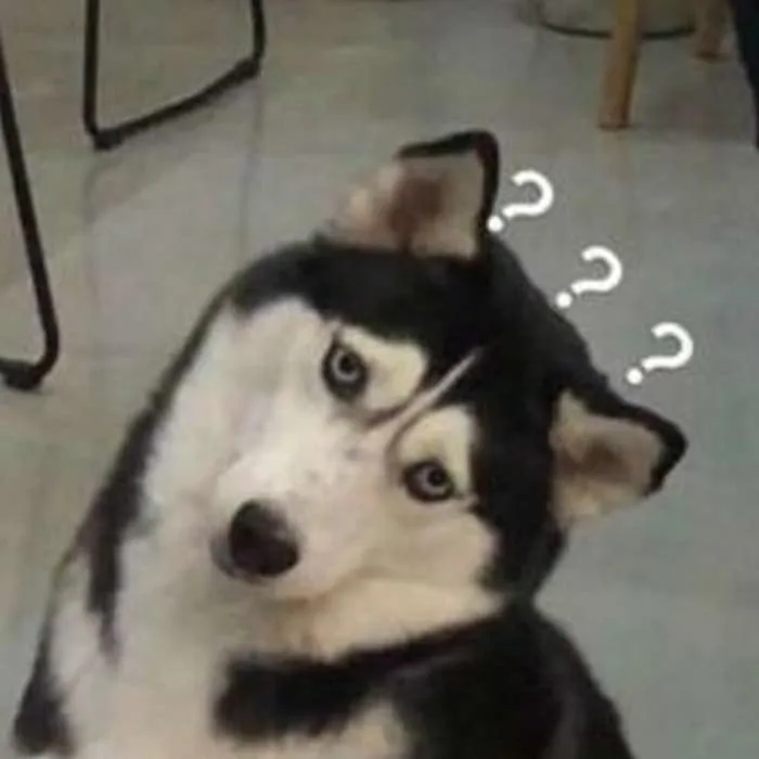 Meme Không Hiểu Đừng Like [Ảnh Meme Em Không Hiểu Hài]