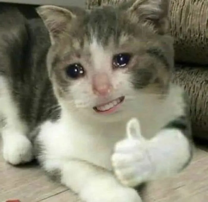 Tổng hợp meme khóc nhưng cười cực hài hước dành cho nhà đầu tư Tổng hợp meme khóc nhưng cười cực hài hước dành cho nhà đầu tư