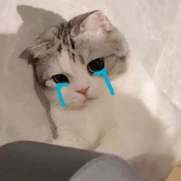 3.281+ Ảnh Meme Khóc Buồn Khóc Cười Hài Hước Slay Cực Yêu 3.281+ Ảnh Meme Khóc Buồn Khóc Cười Hài Hước Slay Cực Yêu