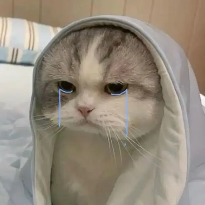 3.281+ Ảnh Meme Khóc Buồn Khóc Cười Hài Hước Slay Cực Yêu 3.281+ Ảnh Meme Khóc Buồn Khóc Cười Hài Hước Slay Cực Yêu