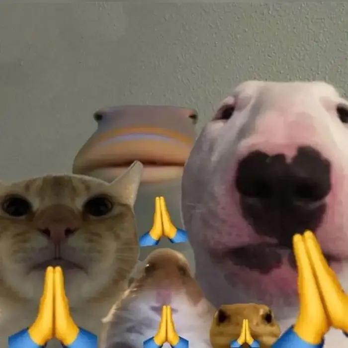 Bộ sưu tầm ảnh meme lạy độc đáo gây sốt cộng đồng mạng Bộ sưu tầm ảnh meme lạy độc đáo gây sốt cộng đồng mạng