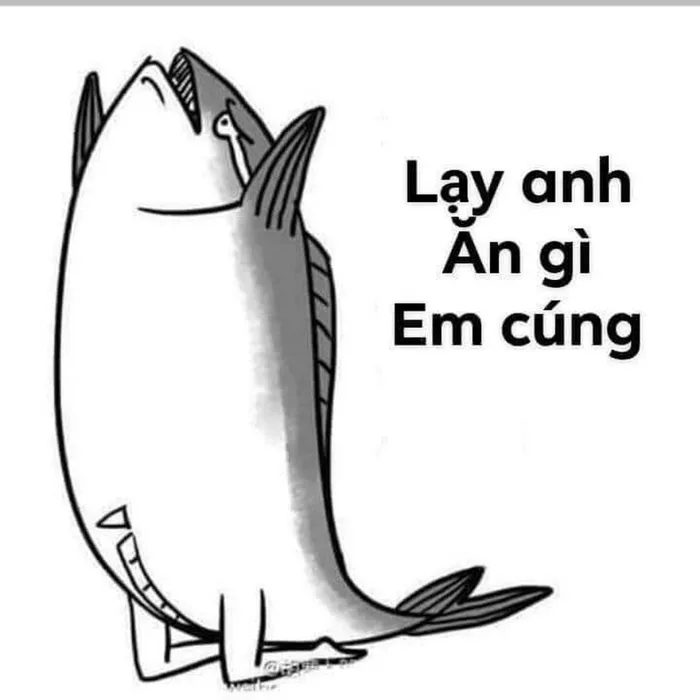 Cười thả ga với loạt meme lạy siêu hài hước về các tình huống “dở khóc dở cười” trong cuộc sống Cười thả ga với loạt meme lạy siêu hài hước về các tình huống “dở khóc dở cười” trong cuộc sống