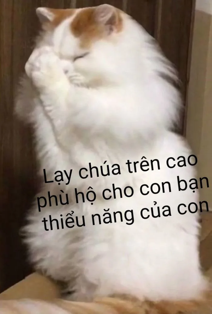 Lạy chúa Lạy chúa