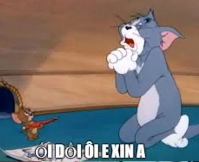 Tổng Hợp 99+ Meme Lạy, Quỳ Lạy Siêu Hài Hước Cho Dân Mạng Tổng Hợp 99+ Meme Lạy, Quỳ Lạy Siêu Hài Hước Cho Dân Mạng