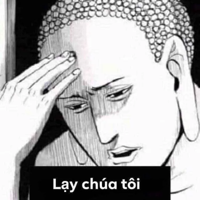 Bộ sưu tập meme lạy hài hước độc đáo và sáng tạo Bộ sưu tập meme lạy hài hước độc đáo và sáng tạo