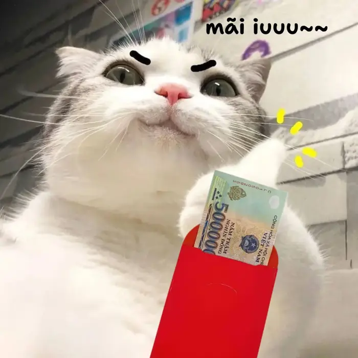 meme-li-xi-1